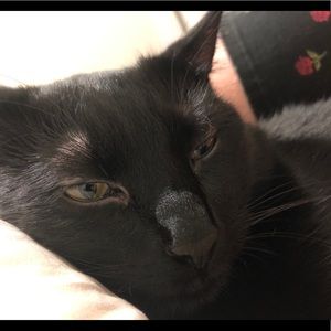 Meet your Posher, Nikki